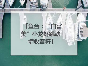 鱼台：“白富美”小龙虾跳动增收音符