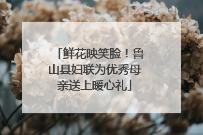 鲜花映笑脸！鲁山县妇联为优秀母亲送上暖心礼