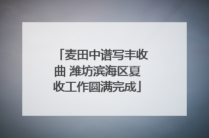 麦田中谱写丰收曲 潍坊滨海区夏收工作圆满完成