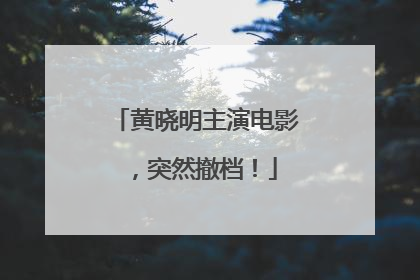 黄晓明主演电影，突然撤档！
