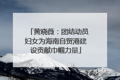黄晓薇：团结动员妇女为海南自贸港建设贡献巾帼力量
