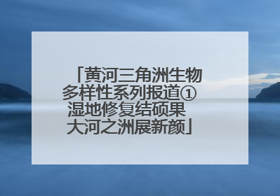 黄河三角洲生物多样性系列报道①湿地修复结硕果 大河之洲展新颜