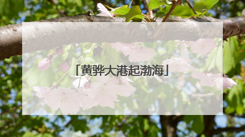 黄骅大港起渤海