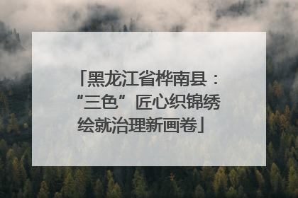 黑龙江省桦南县：“三色”匠心织锦绣 绘就治理新画卷