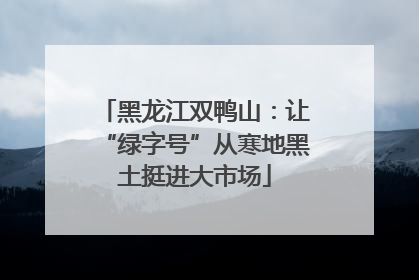 黑龙江双鸭山：让“绿字号”从寒地黑土挺进大市场