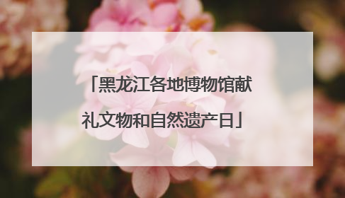 黑龙江各地博物馆献礼文物和自然遗产日