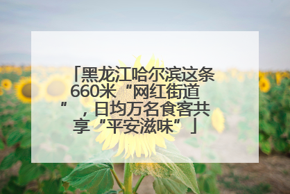 黑龙江哈尔滨这条660米“网红街道”，日均万名食客共享“平安滋味”