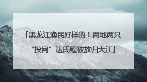 黑龙江渔民好样的！两地两只“投网”达氏鳇被放归大江