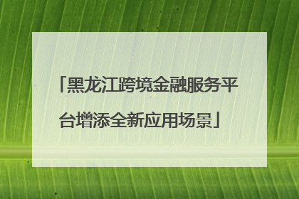 黑龙江跨境金融服务平台增添全新应用场景