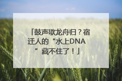 鼓声歇龙舟归？宿迁人的“水上DNA”藏不住了！