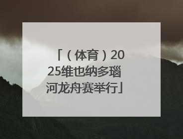 （体育）2025维也纳多瑙河龙舟赛举行