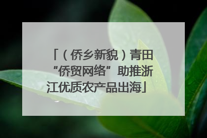 （侨乡新貌）青田“侨贸网络”助推浙江优质农产品出海