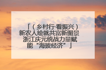 （乡村行·看振兴）新农人绘就共富新图景 浙江庆元统战力量赋能“海拔经济”