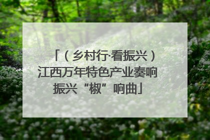 （乡村行·看振兴）江西万年特色产业奏响振兴“椒”响曲