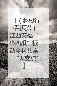 （乡村行·看振兴）江西安福“小西瓜”撬动乡村共富“大支点”