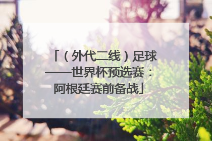（外代二线）足球——世界杯预选赛：阿根廷赛前备战