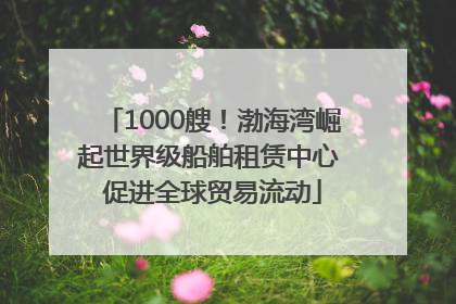 1000艘！渤海湾崛起世界级船舶租赁中心 促进全球贸易流动