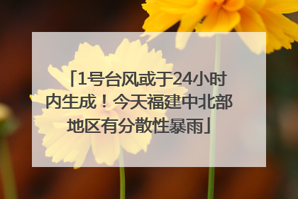 1号台风或于24小时内生成！今天福建中北部地区有分散性暴雨