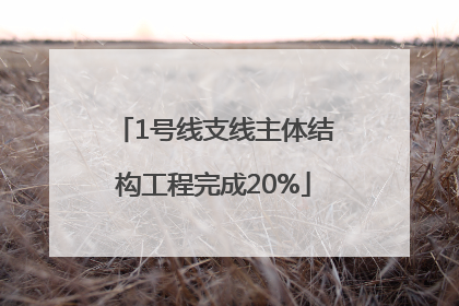 1号线支线主体结构工程完成20%