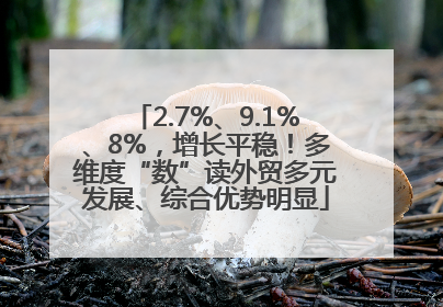 2.7%、9.1%、8%，增长平稳！多维度“数”读外贸多元发展、综合优势明显