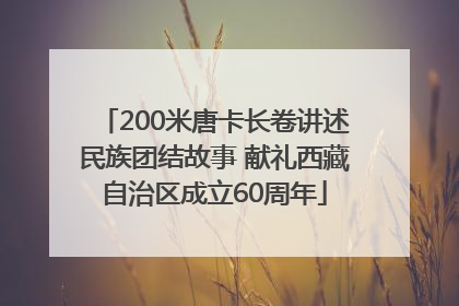 200米唐卡长卷讲述民族团结故事 献礼西藏自治区成立60周年
