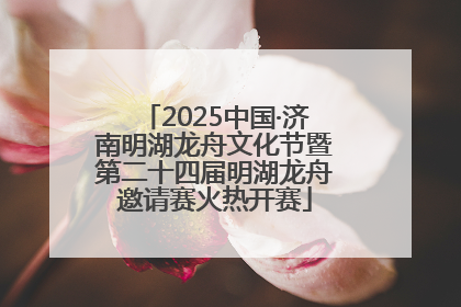 2025中国·济南明湖龙舟文化节暨第二十四届明湖龙舟邀请赛火热开赛