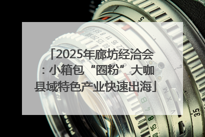 2025年廊坊经洽会：小箱包“圈粉”大咖 县域特色产业快速出海