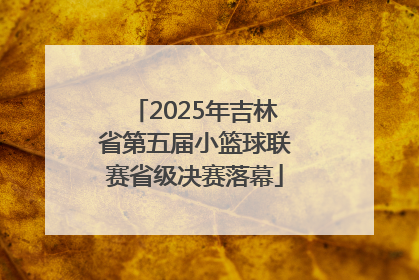 2025年吉林省第五届小篮球联赛省级决赛落幕