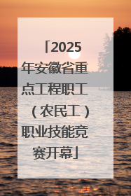 2025年安徽省重点工程职工（农民工）职业技能竞赛开幕