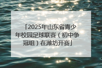 2025年山东省青少年校园足球联赛（初中争冠组）在潍坊开赛