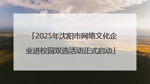 2025年沈阳市网络文化企业进校园双选活动正式启动