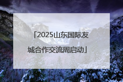 2025山东国际友城合作交流周启动
