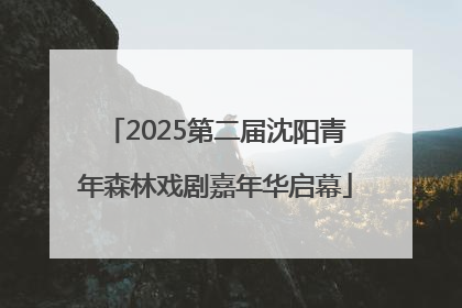 2025第二届沈阳青年森林戏剧嘉年华启幕
