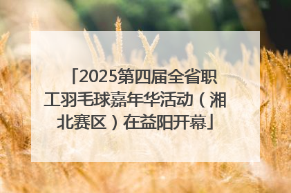 2025第四届全省职工羽毛球嘉年华活动（湘北赛区）在益阳开幕