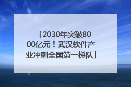2030年突破8000亿元！武汉软件产业冲刺全国第一梯队
