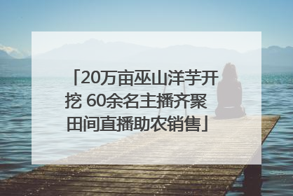 20万亩巫山洋芋开挖 60余名主播齐聚田间直播助农销售