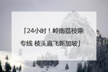 24小时！岭南荔枝乘专线 枝头直飞新加坡