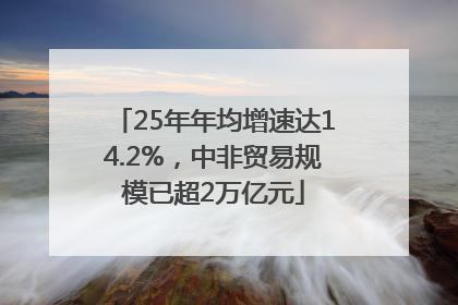 25年年均增速达14.2%，中非贸易规模已超2万亿元