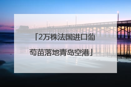 2万株法国进口葡萄苗落地青岛空港