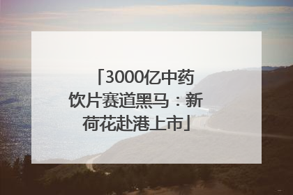 3000亿中药饮片赛道黑马：新荷花赴港上市