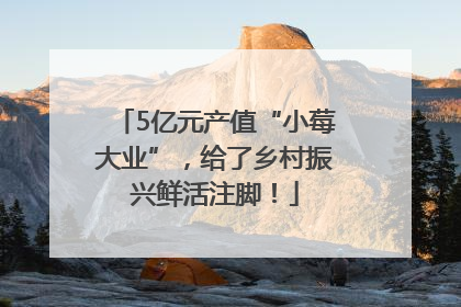 5亿元产值“小莓大业”，给了乡村振兴鲜活注脚！