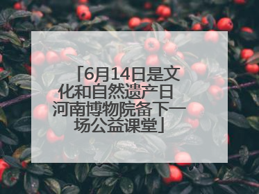 6月14日是文化和自然遗产日 河南博物院备下一场公益课堂