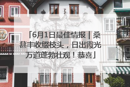 6月1日最佳情报｜桑葚丰收缀枝头，日出霞光万道蓬勃壮观！恭喜