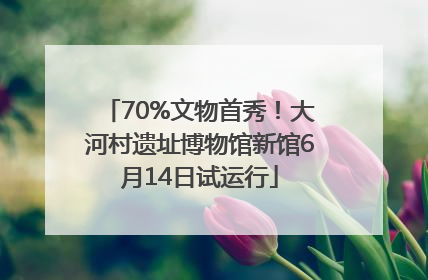 70%文物首秀！大河村遗址博物馆新馆6月14日试运行