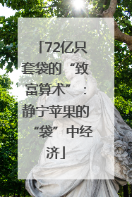 72亿只套袋的“致富算术”：静宁苹果的“袋”中经济