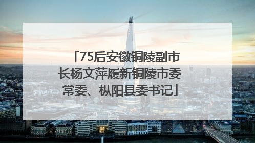 75后安徽铜陵副市长杨文萍履新铜陵市委常委、枞阳县委书记