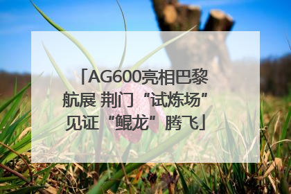 AG600亮相巴黎航展 荆门“试炼场”见证“鲲龙”腾飞