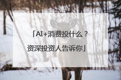 AI+消费投什么？资深投资人告诉你