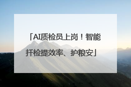 AI质检员上岗！智能扦检提效率、护粮安