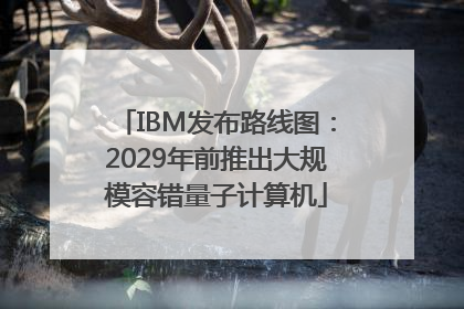 IBM发布路线图：2029年前推出大规模容错量子计算机